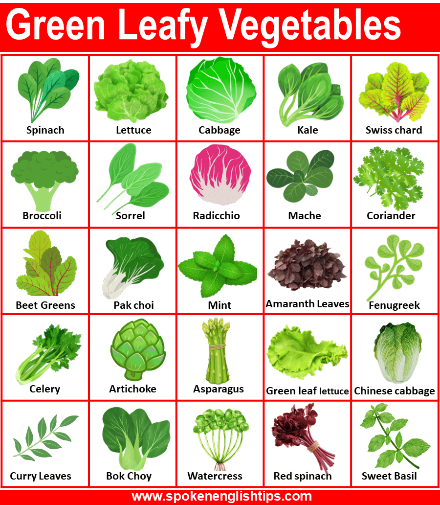 50 Green Leafy Vegetables Names in English with Pictures