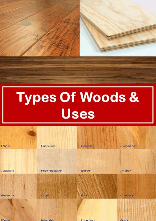 TYPES OF WOODs and uses 