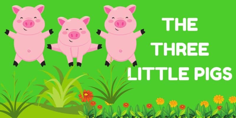 the three little pigs