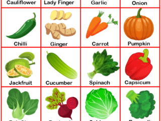 35 vegetables name