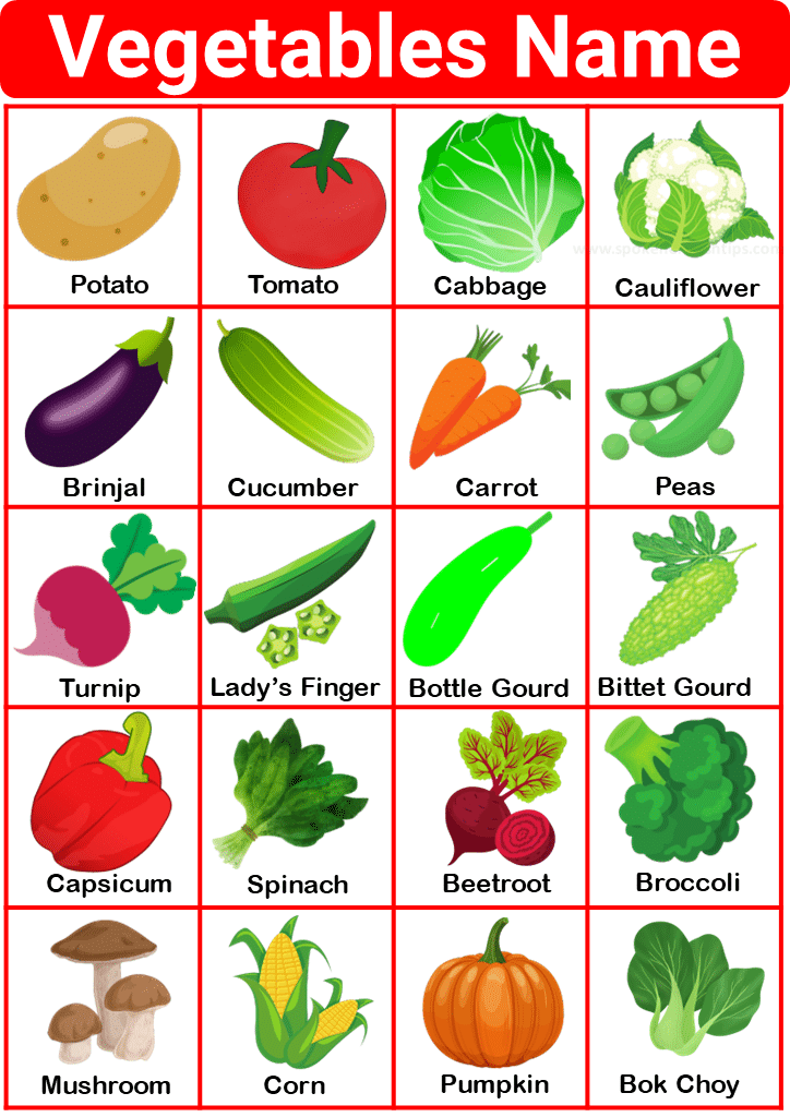vegetables name in english