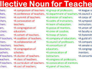 A Collective Noun for Teachers
