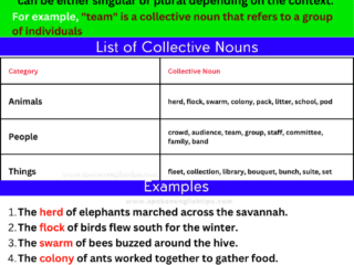 collective nouns