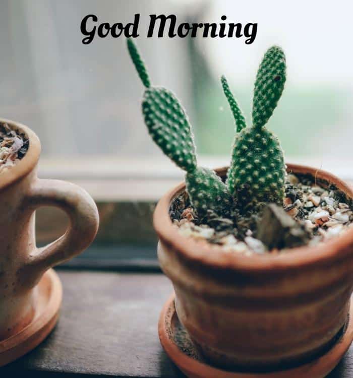 Thought Good Morning Images