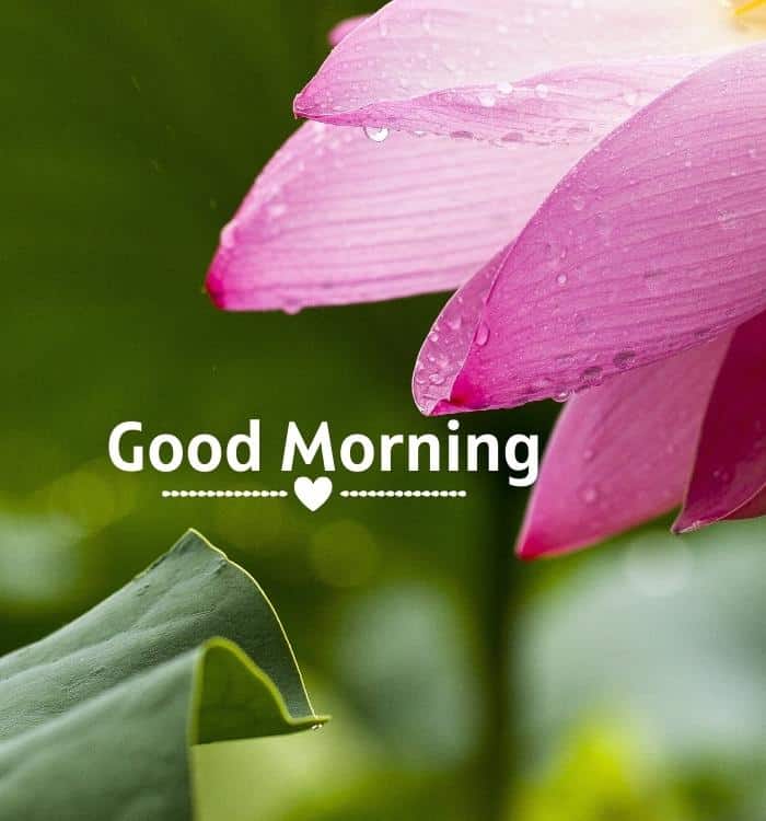Thought Good Morning Images