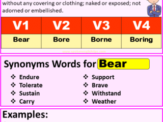 Bear verb forms