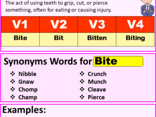 Bite verb forms