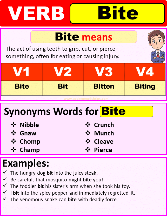 Bite Verb Forms Past Tense Of Bite Past Participle V1 V2 V3 V4