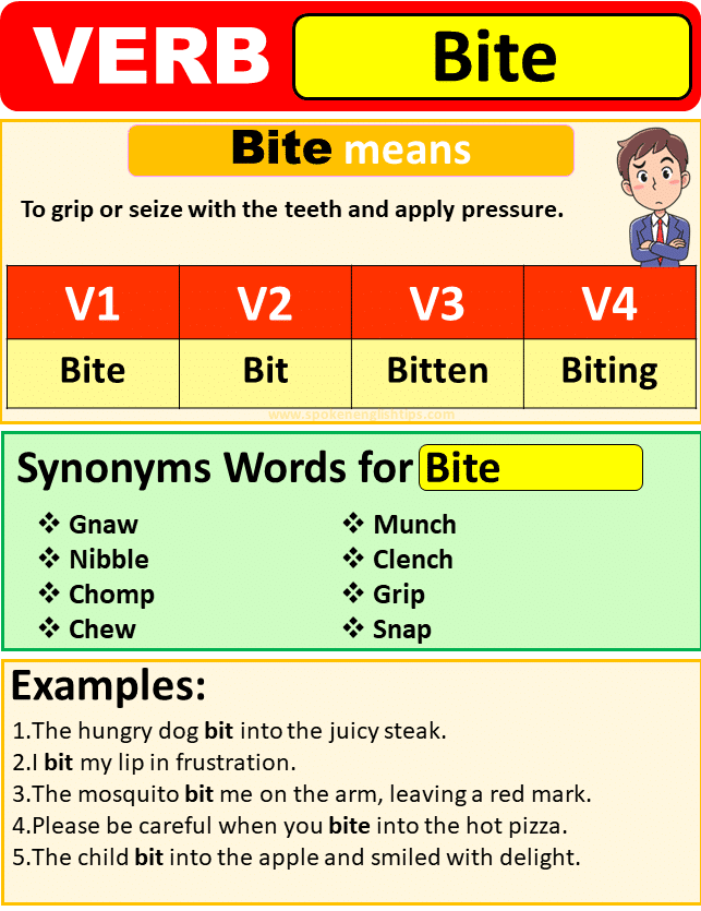 Bite Verb Forms Past Tense Of Bite Past Participle 2024