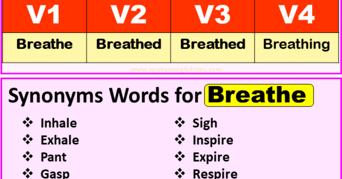 chew-verb-forms-past-tense-of-chew-past-participle-v1-v2-v3-v4-july-2023