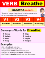 Breathe Verb Forms, Past Tense Of Breathe Past Participle & V1 V2 V3 V4