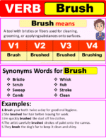 Brush Verb Forms, Past Tense Of Brush Past Participle & V1 V2 V3 V4