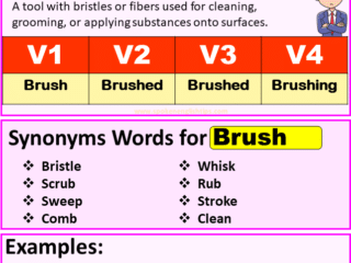 Brush verb forms