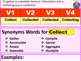 Collect verb forms