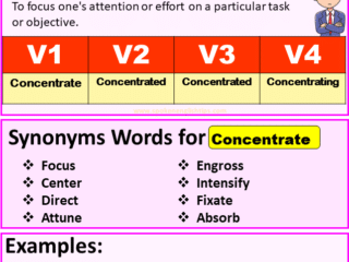 Concentrate Verb Forms