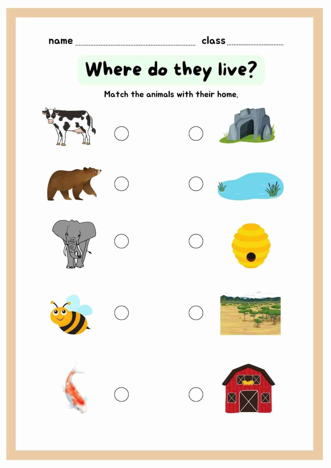 Animal and their Homes Worksheet