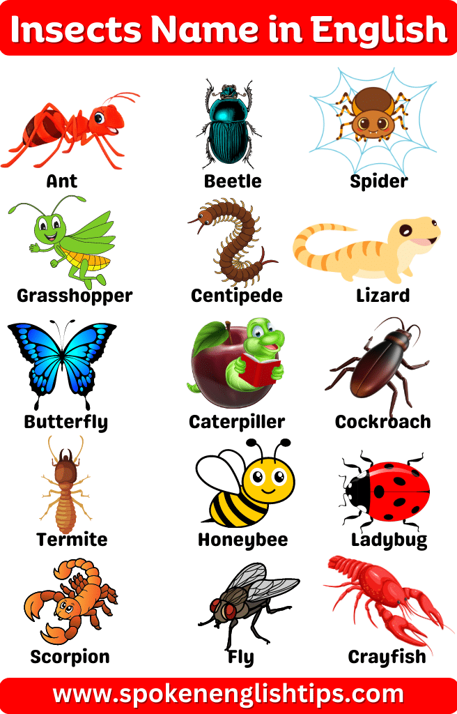 insects name for kids