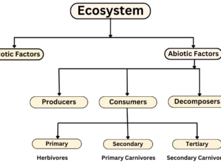 Types of ecosystems