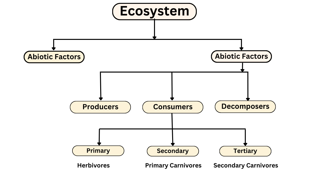 Structure, Functions, Types Of Ecosystems And Units ( July 2024)