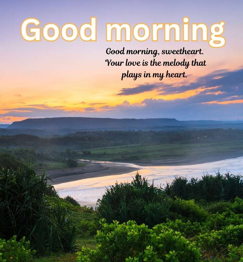 good morning images nature gif
