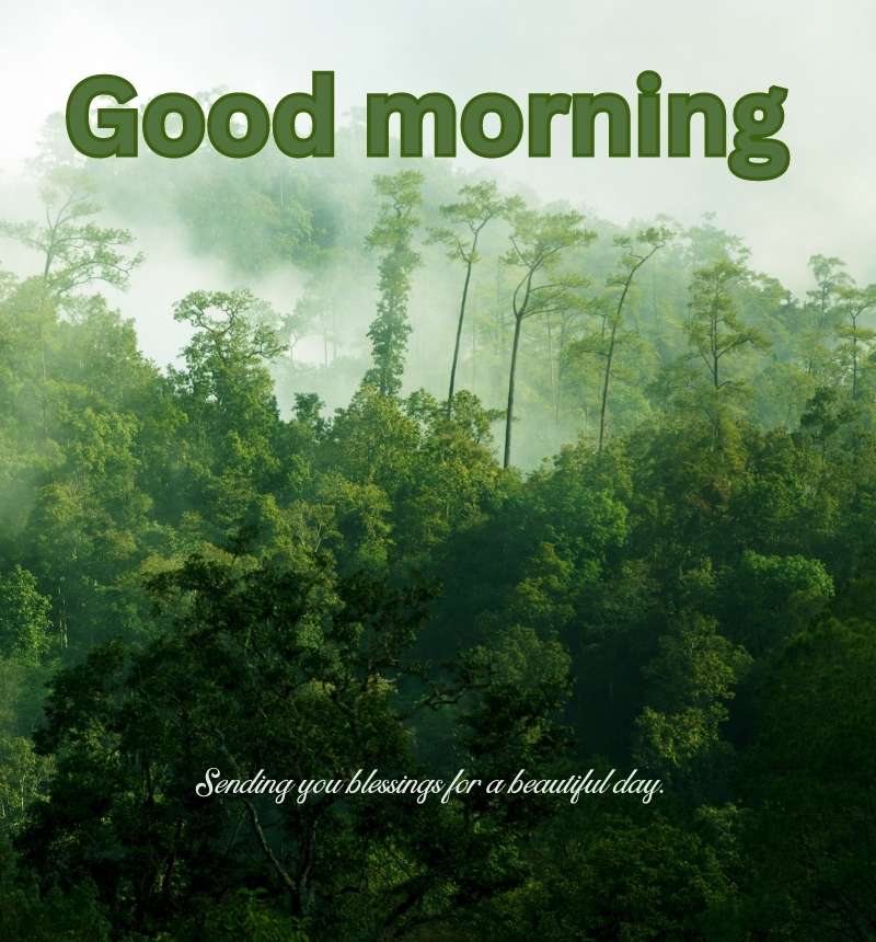 good morning nature quotes
