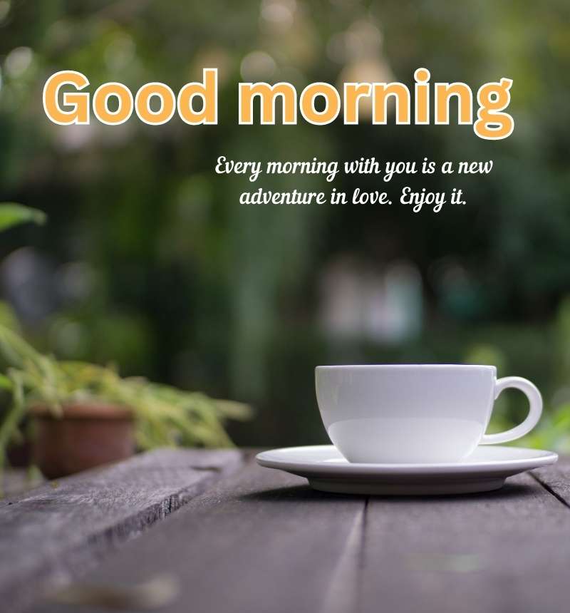 good morning nature gif images
