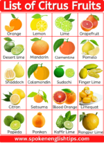 40+ List Of Citrus Fruits Name With Pictures ( November 2024)