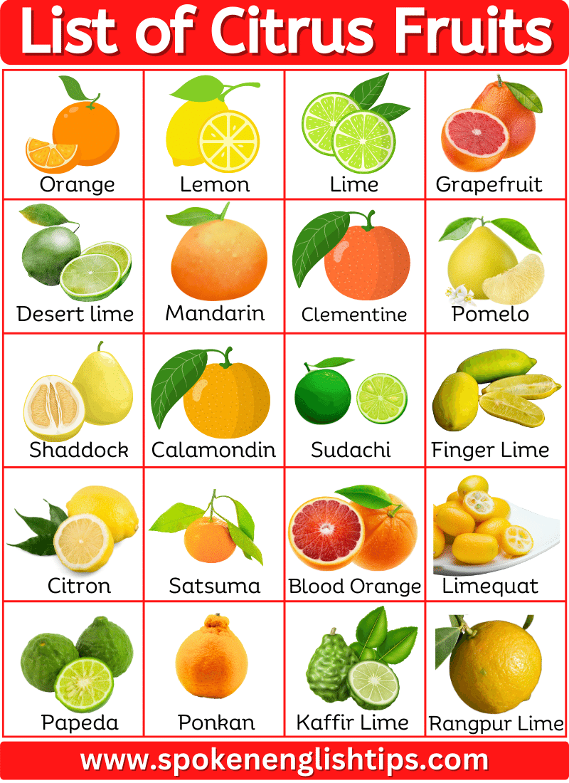 List of Citrus Fruits