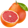 40+ List Of Citrus Fruits Name With Pictures ( November 2024)