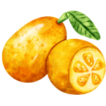 List of citrus fruits