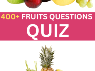 Questions On Fruits