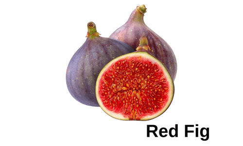 Red Fig