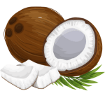 Coconut