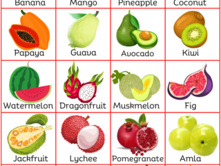 Tropical Fruits List and Pictures
