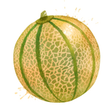 Musk melon