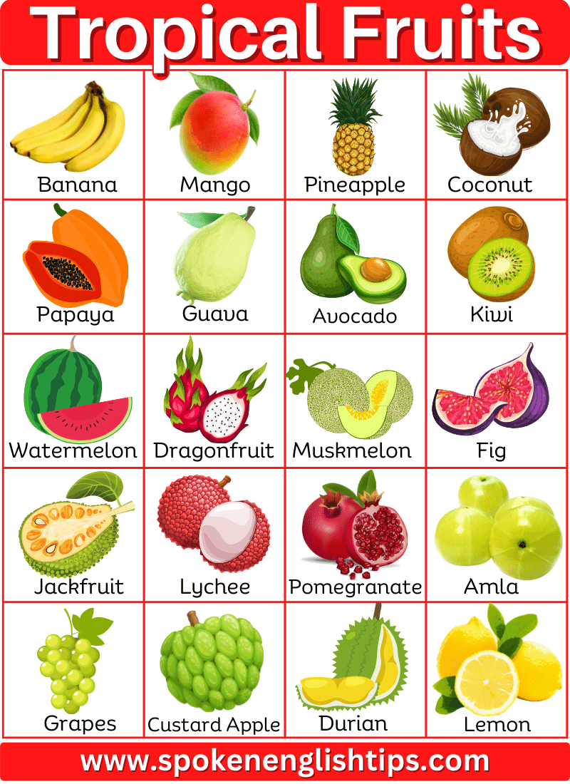 Top 50 Tropical Fruits List and Pictures