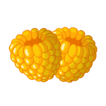 Yellow fruits name