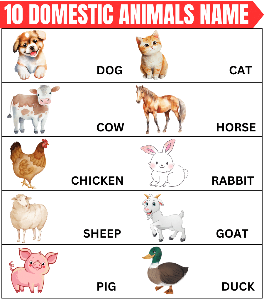 10 domestic animals name