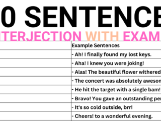 100 Interjection Sentences