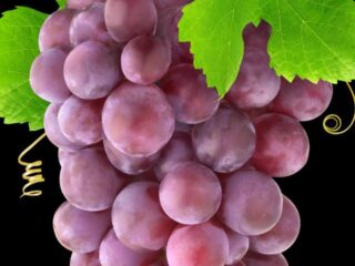 8 Amazing Benefits of Grapes