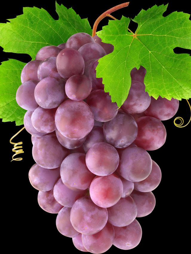 8 Amazing Benefits of Grape You Must Know