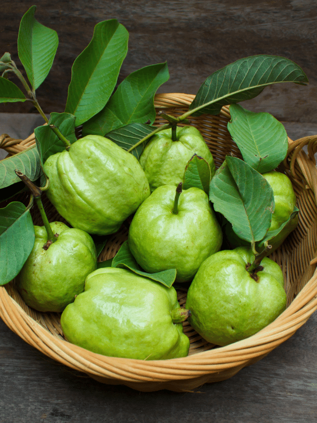 8 Amazing Benefits of Guava You Must Know