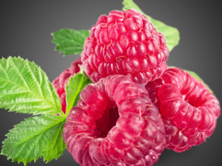 Benefits of Raspberry