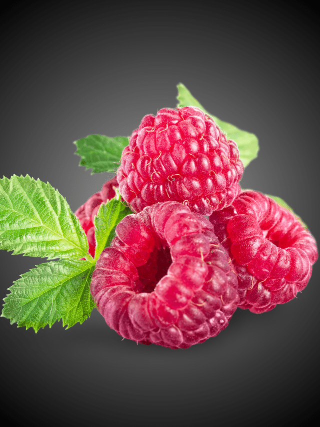 8 Amazing Benefits of Raspberry You Must Know