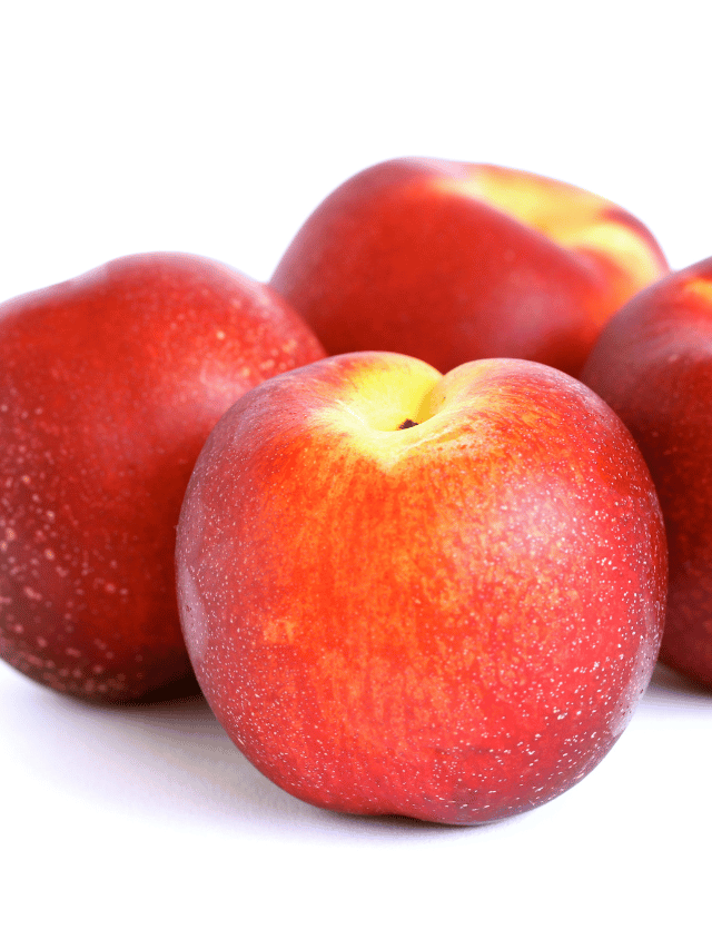 8 Amazing Benefits of Nectarine You Must Know