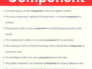 Component in a Sentence