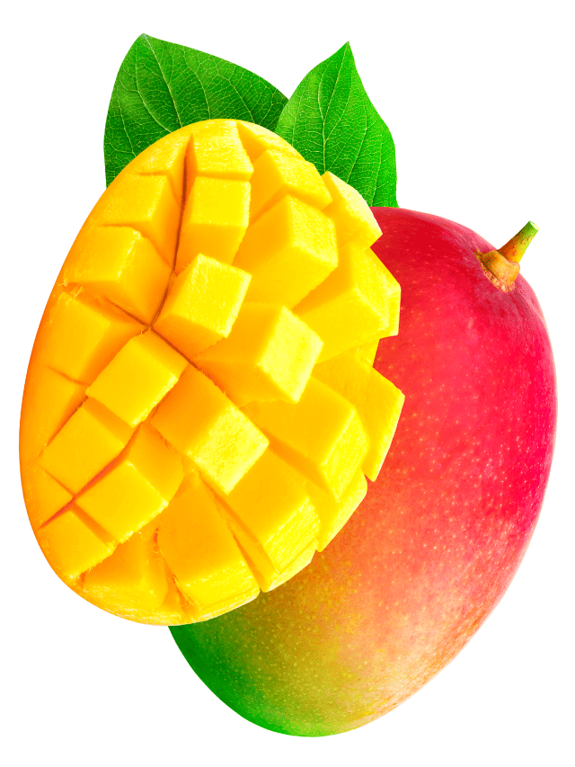 9 Amazing Benefits of Mango You Must Know