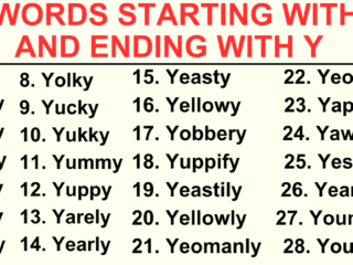 28 Words starting with Y and ending with Y