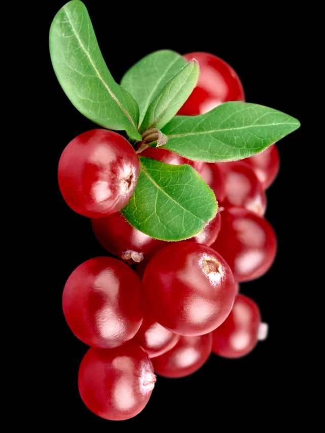 8 Incredible Benefits of Cranberry