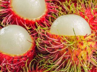 Benefits of Rambutan